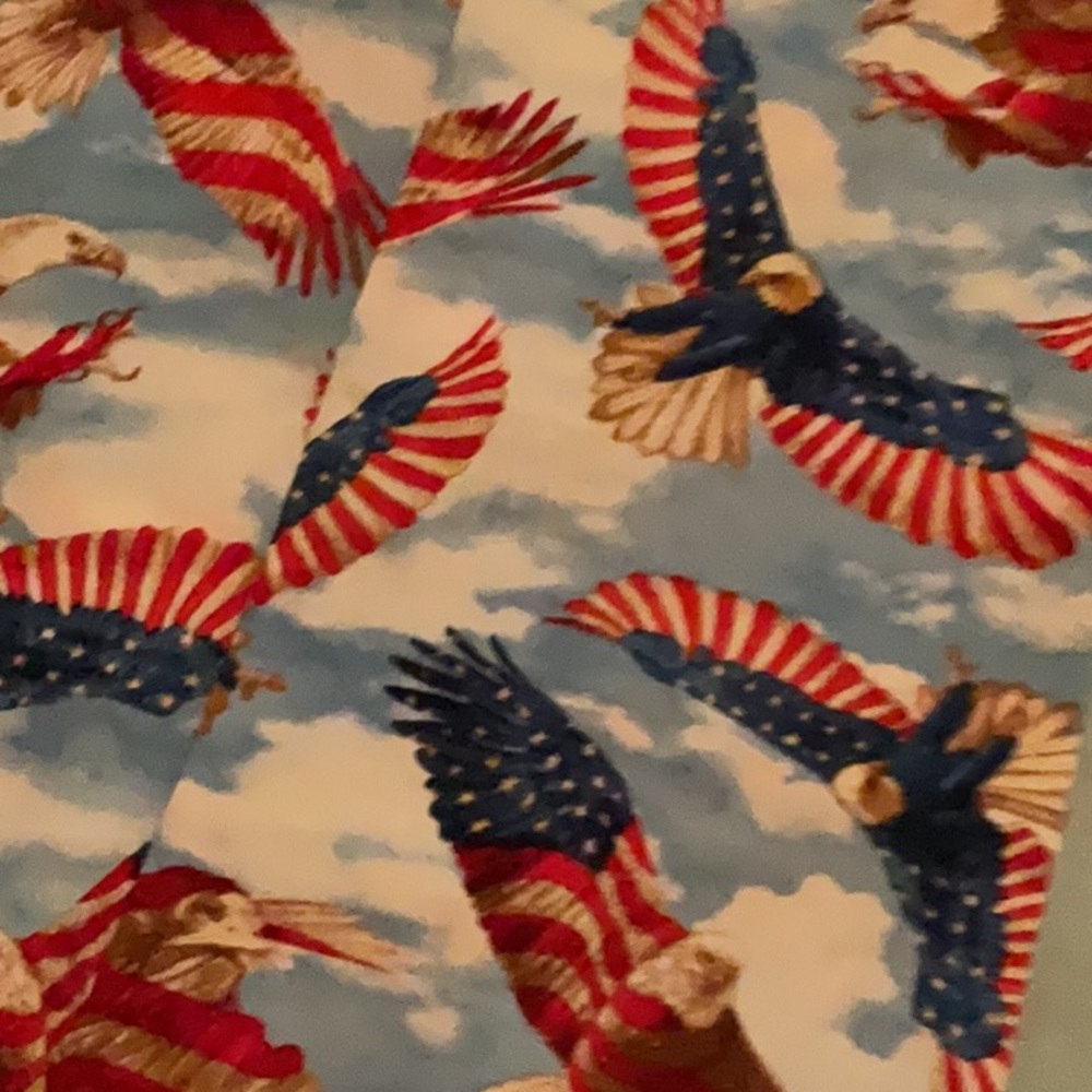 American eagle fabric